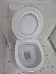 Spotless toilet cleaned to bond back standard