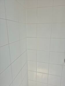 Gleaming clean shower tiles and grout