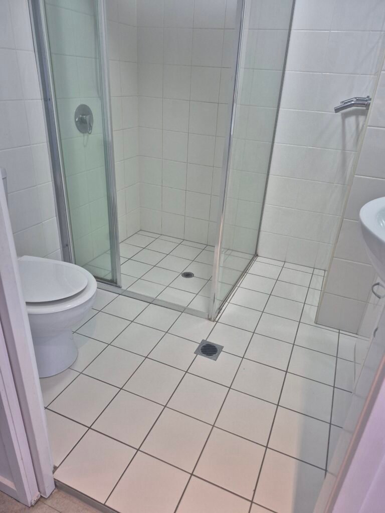 Bathroom shower and toilet area cleaned